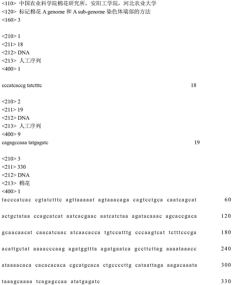 A Method for Marking Cotton A Genome and A Sub-genome Chromosome Ends