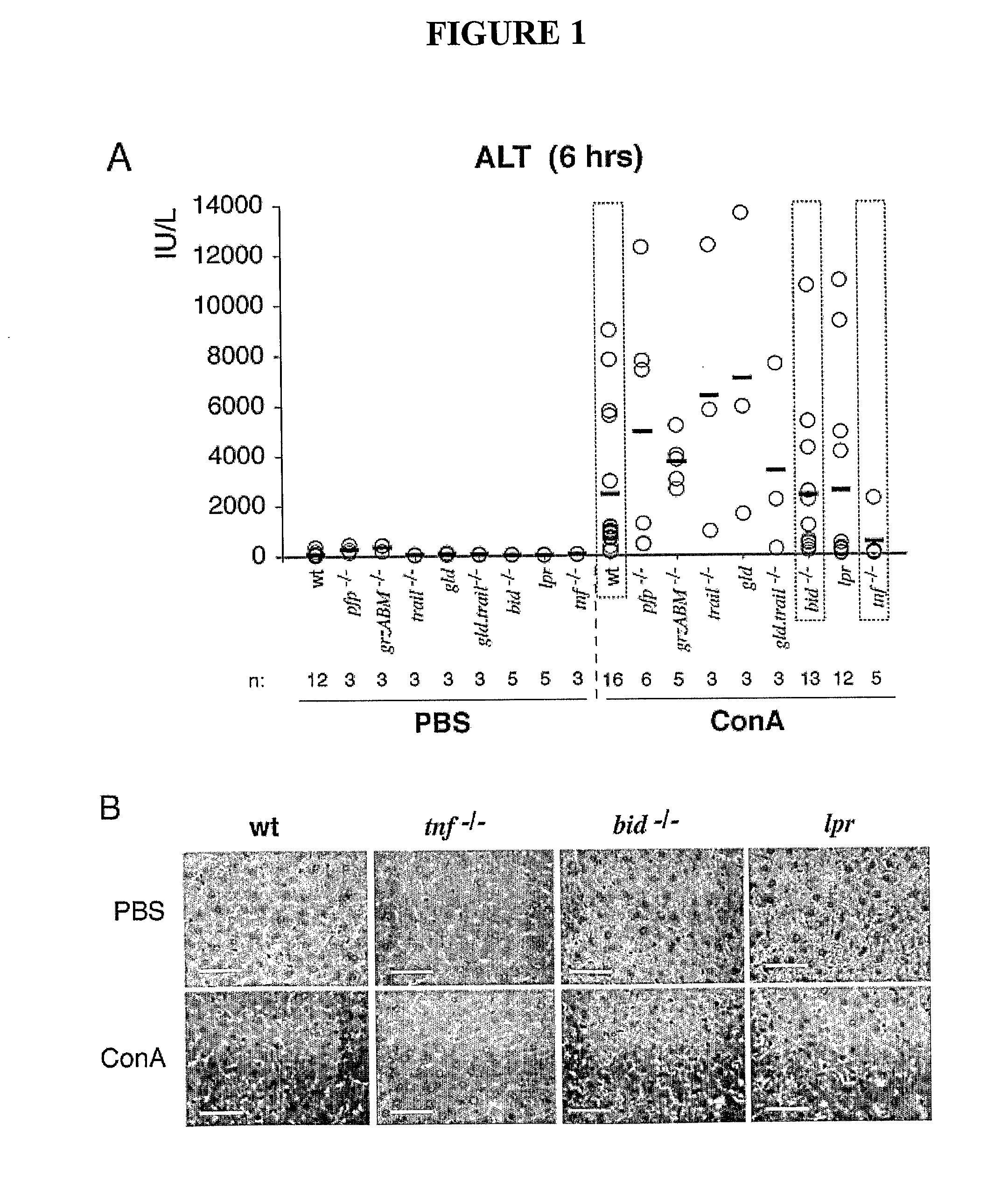  method of treatment and agents useful for same