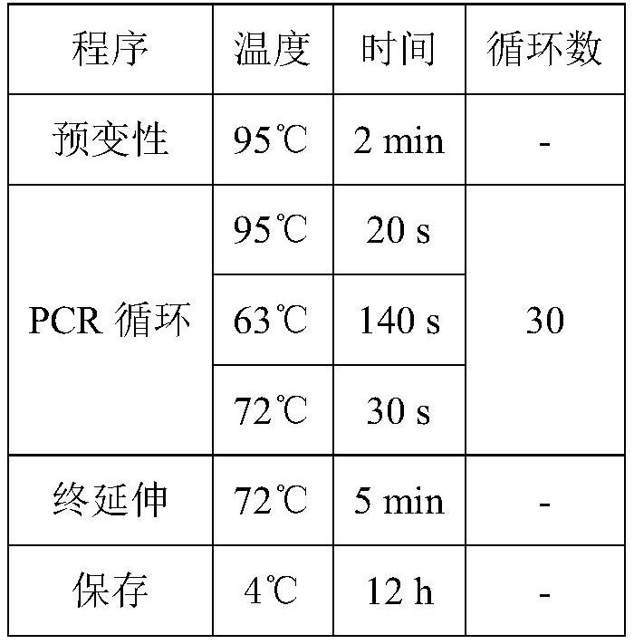 NK (Natural Killer) trophoblast cell for expressing cytokine composition as well as preparation method and application of NK trophoblast cell