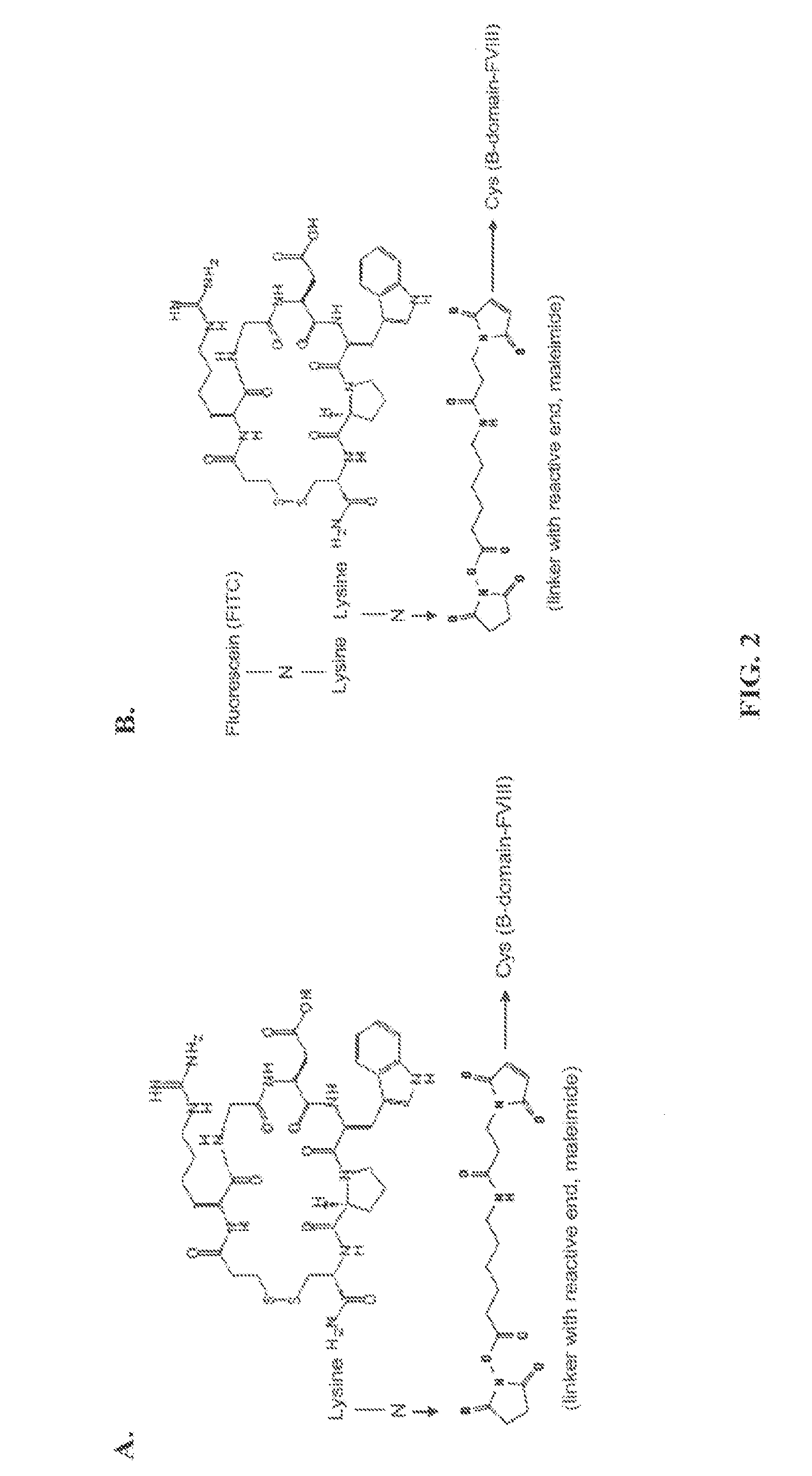 Targeted Coagulation Factors and Method of Using the Same