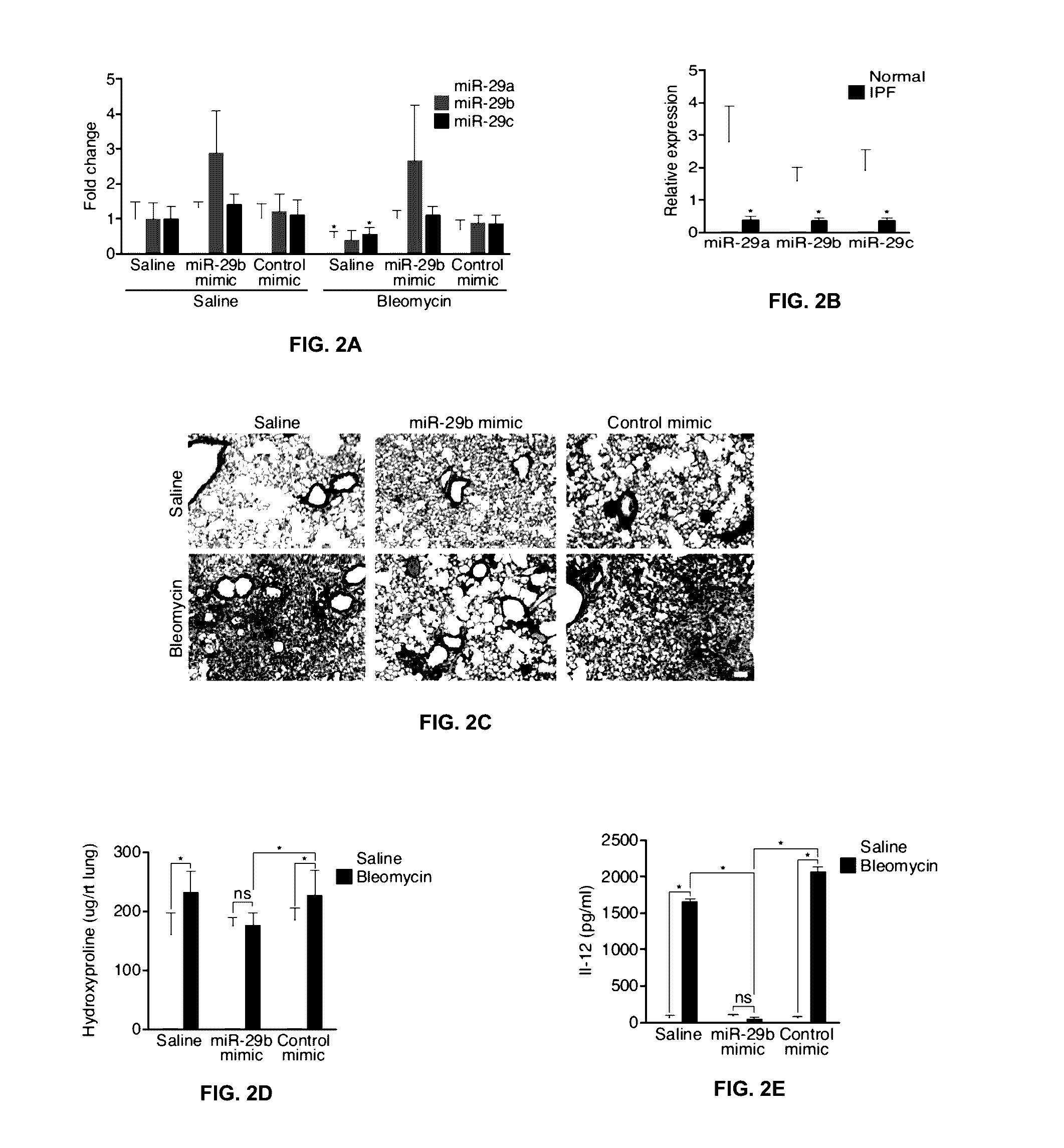 miR-29 Mimics and Uses Thereof