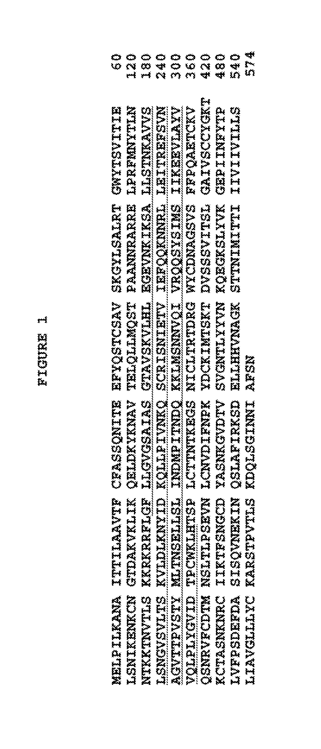 Antibodies Against And Methods For Producing Vaccines For Respiratory Syncytial Virus