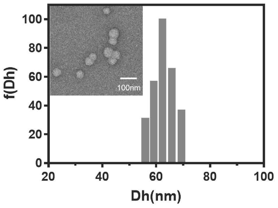 Preparation method and application of polypeptide functionalized composite micelle for inhibiting aggregation of alpha-synuclein