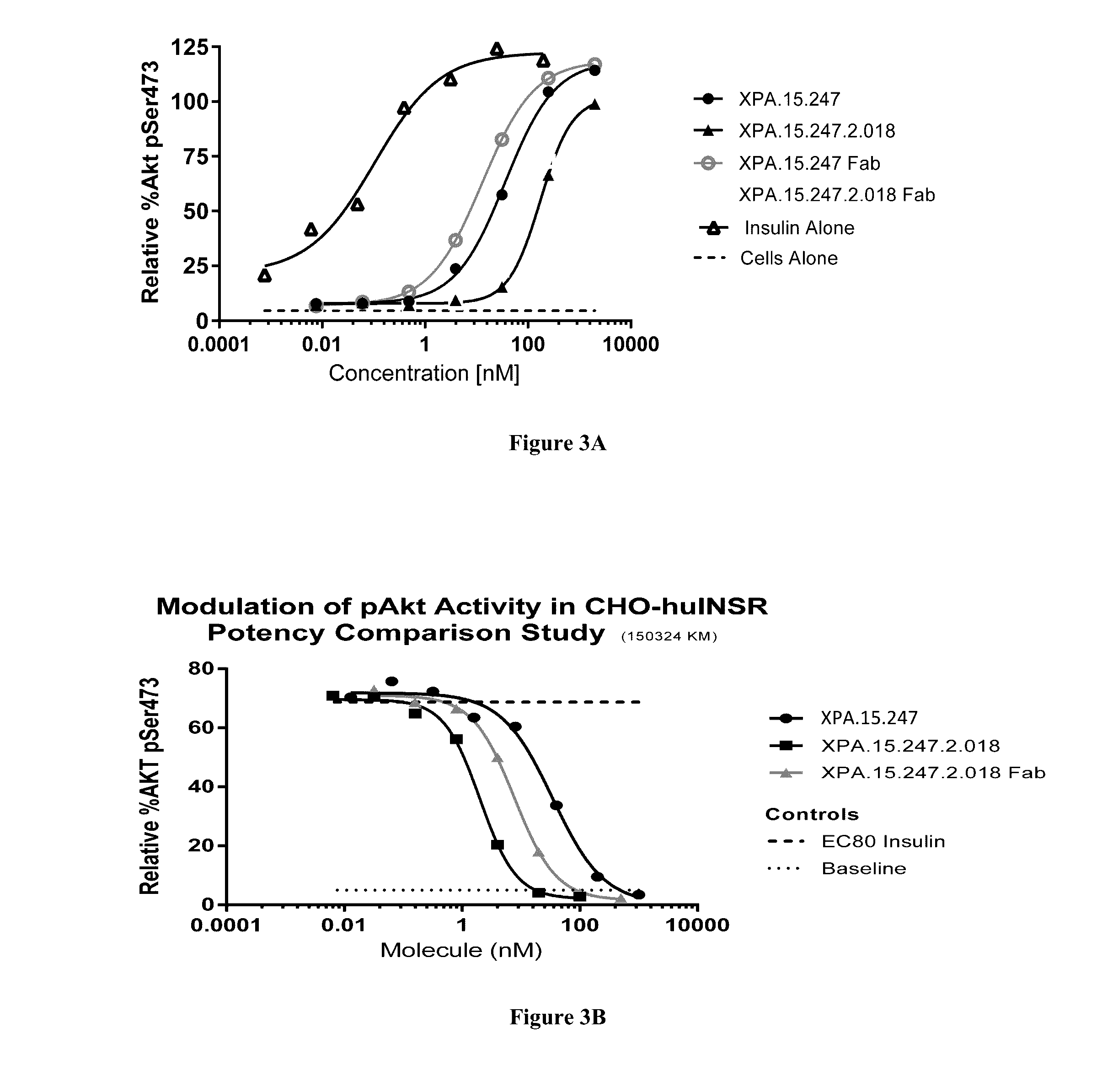 Antibody Fragments Against the Insulin Receptor and Uses Thereof to Treat Hypoglycemia