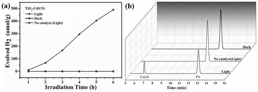 Bifunctional catalyst for photocatalytic oxidation of p-xylene and synchronous reduction of water to produce hydrogen as well as preparation method and application of bifunctional catalyst