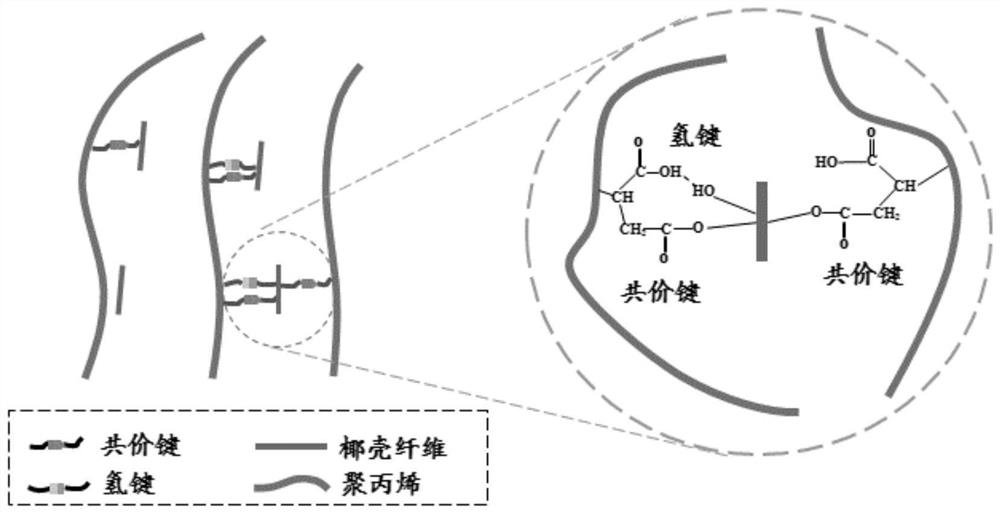 Filamentous-appearance high-performance flame-retardant coconut fiber modified polypropylene composite material as well as preparation method and application thereof