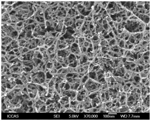 A kind of cellulose-based gel polymer electrolyte and preparation method thereof and lithium-ion battery containing the electrolyte