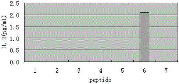 Brucella L7/L12 protein antigen epitope polypeptides and application thereof