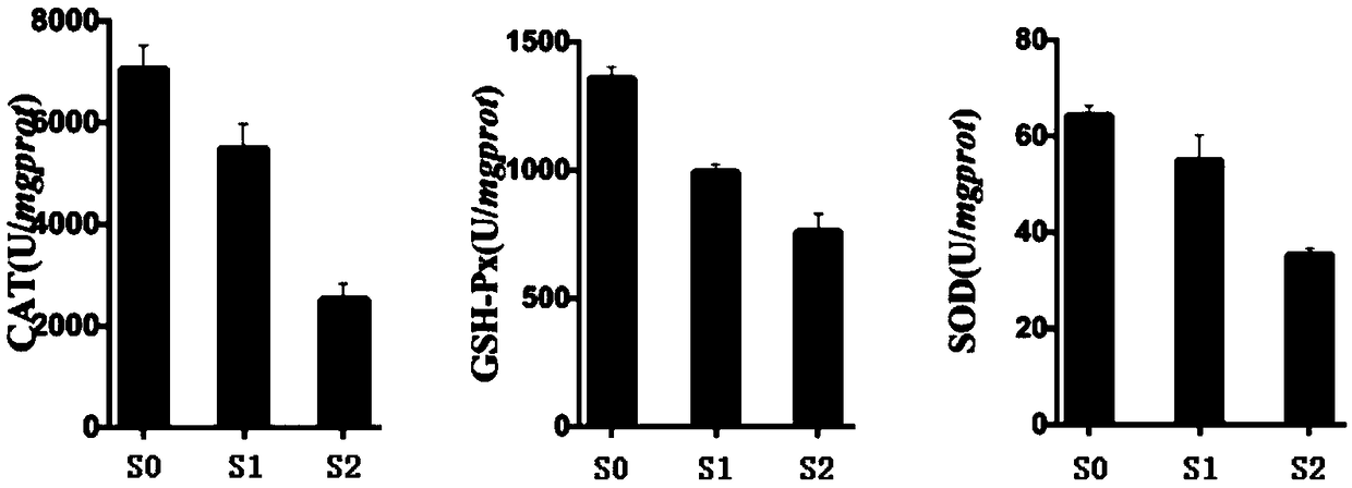 Application of omeprazole in preparation of liver cancer stem cell inhibitor