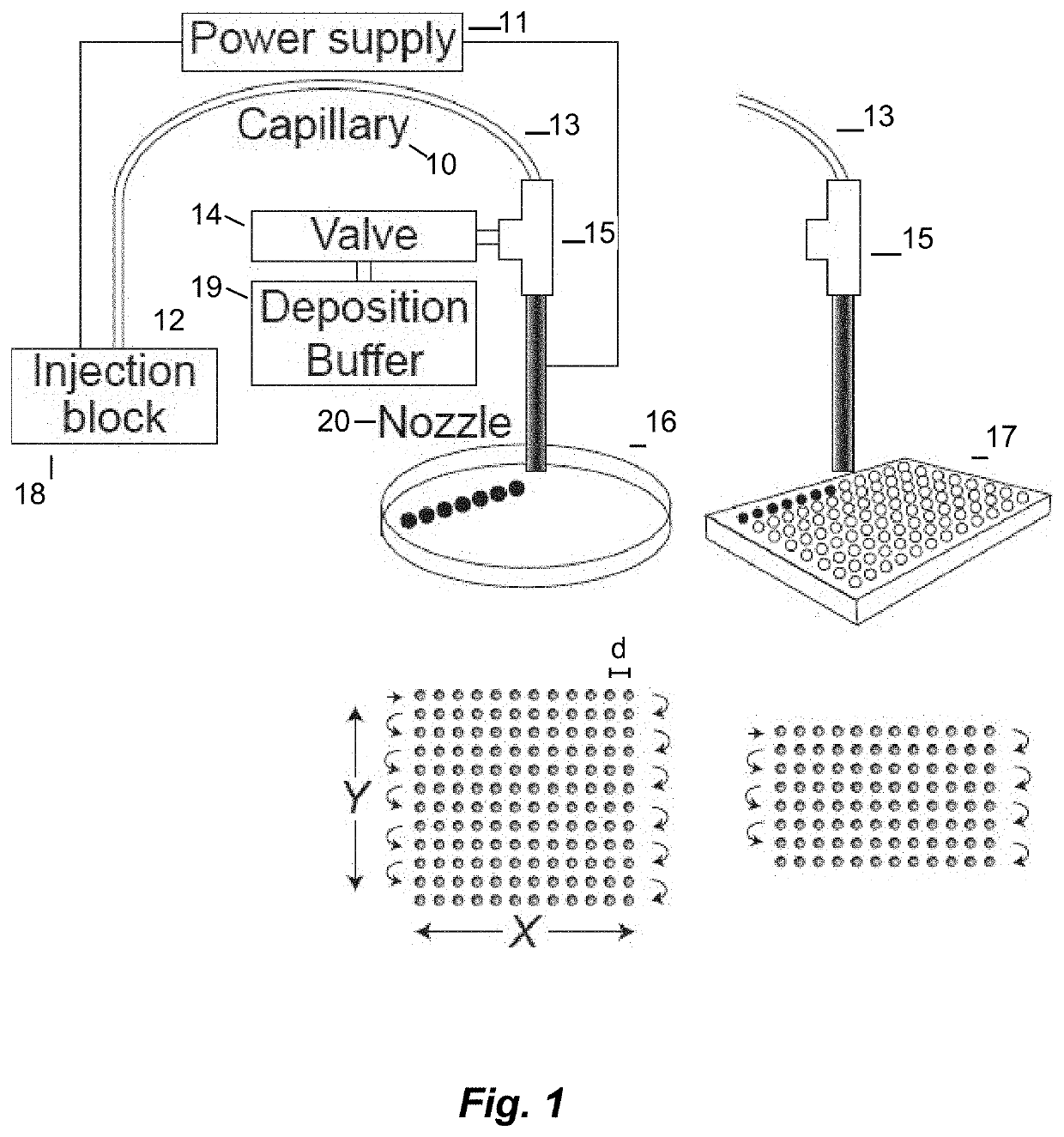 Systems and method for electrophoretic fractionation of the microbiome