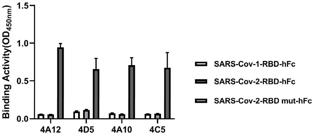 Novel coronavirus SARS-Cov-2 resistant neutralizing single-domain antibody and application thereof