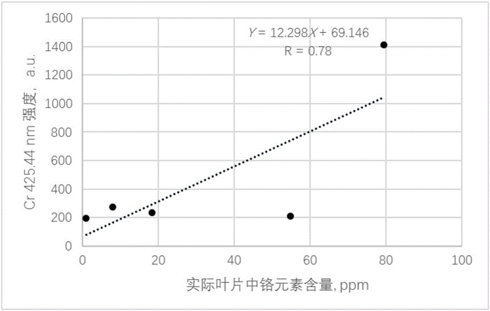 Mg element ratio based water content calibrating type heavy metal content detecting method for leaves