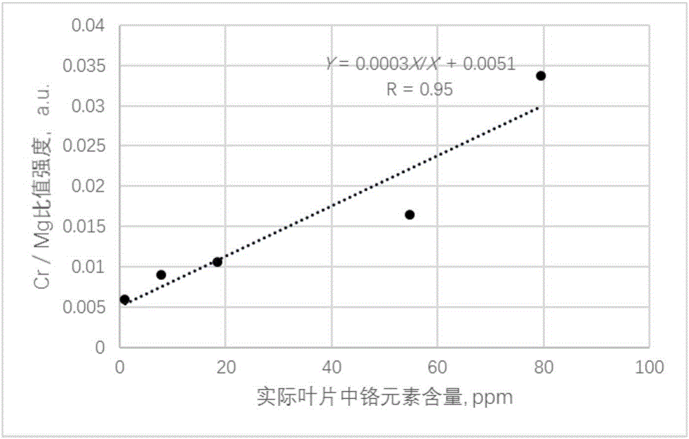Mg element ratio based water content calibrating type heavy metal content detecting method for leaves