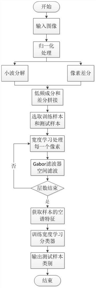 Hyperspectral Image Classification Method and System Based on Stack Width Learning