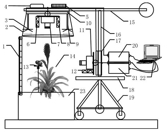 Nondestructive detection device and method for facility crop growth information