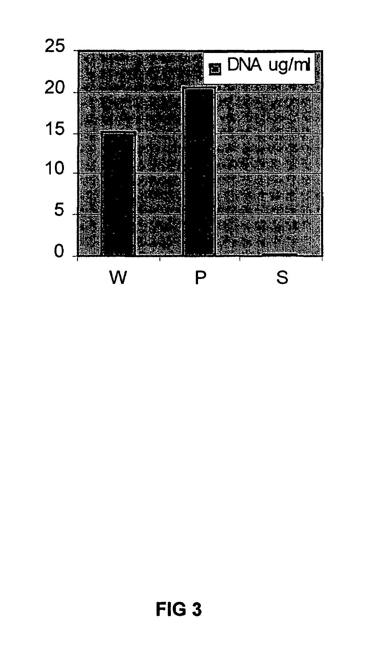 E. coli extract for protein synthesis