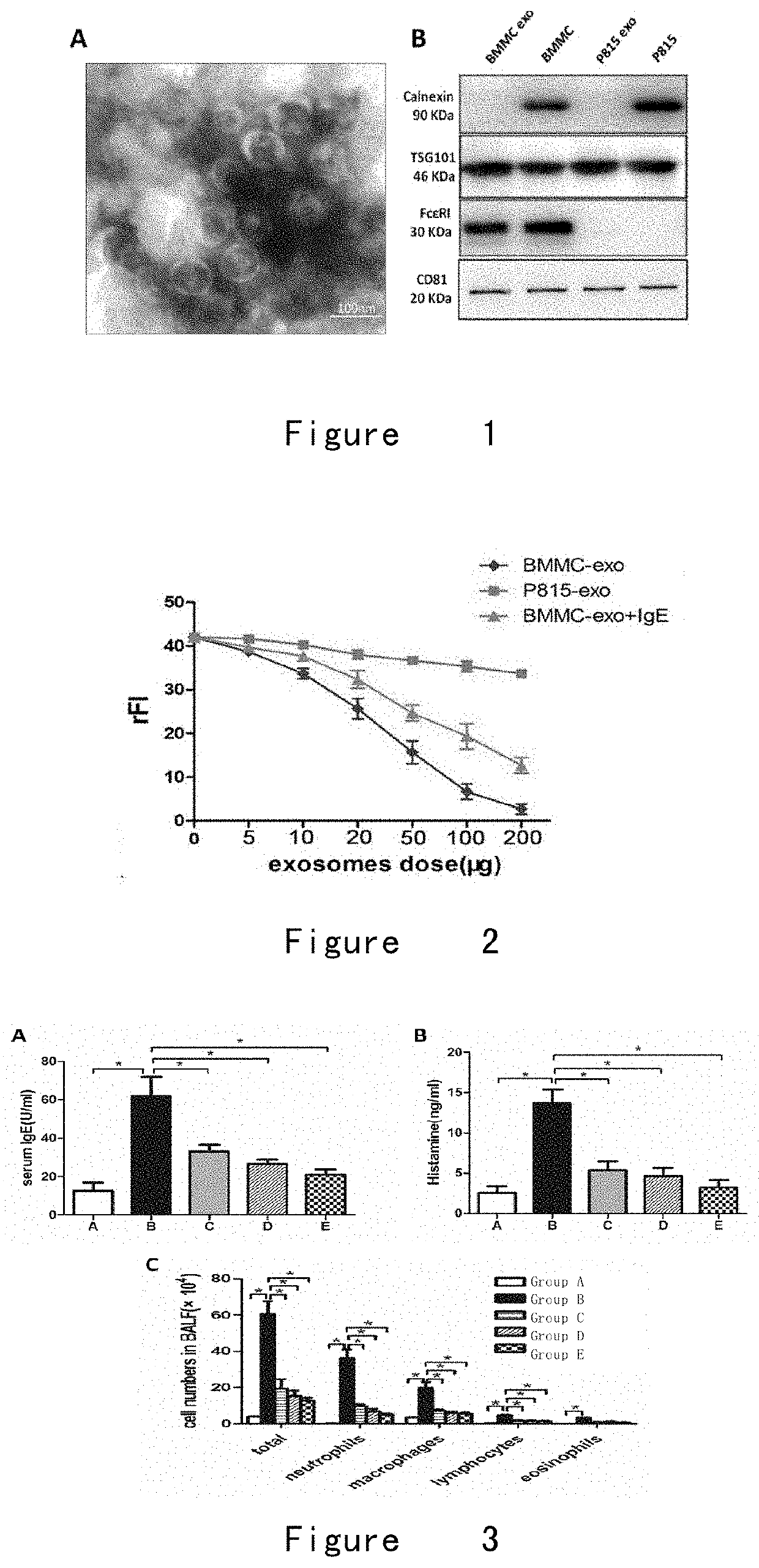 Exosome preparation for treating disease and application thereof