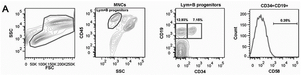 Acute B-lymphoblastic Leukemia Initiation Cell Characterization System