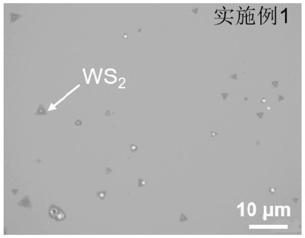 Large-area single-layer semiconductor two-dimensional WS2 film material and preparation method and application thereof