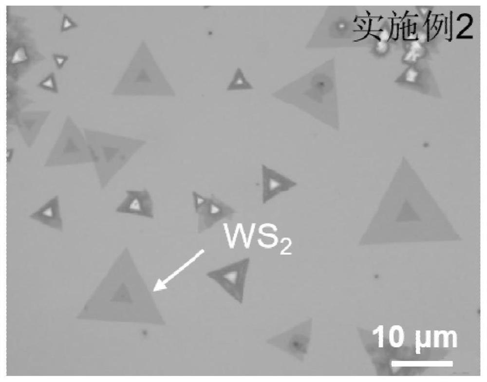 Large-area single-layer semiconductor two-dimensional WS2 film material and preparation method and application thereof