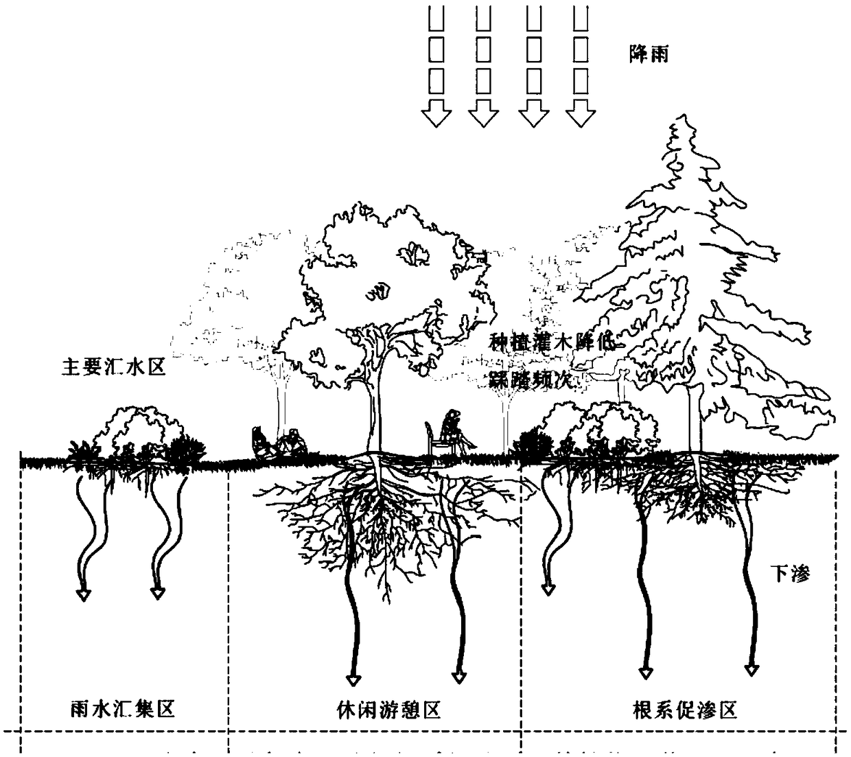 Method for constructing root system permeation enhancing landscape plant community