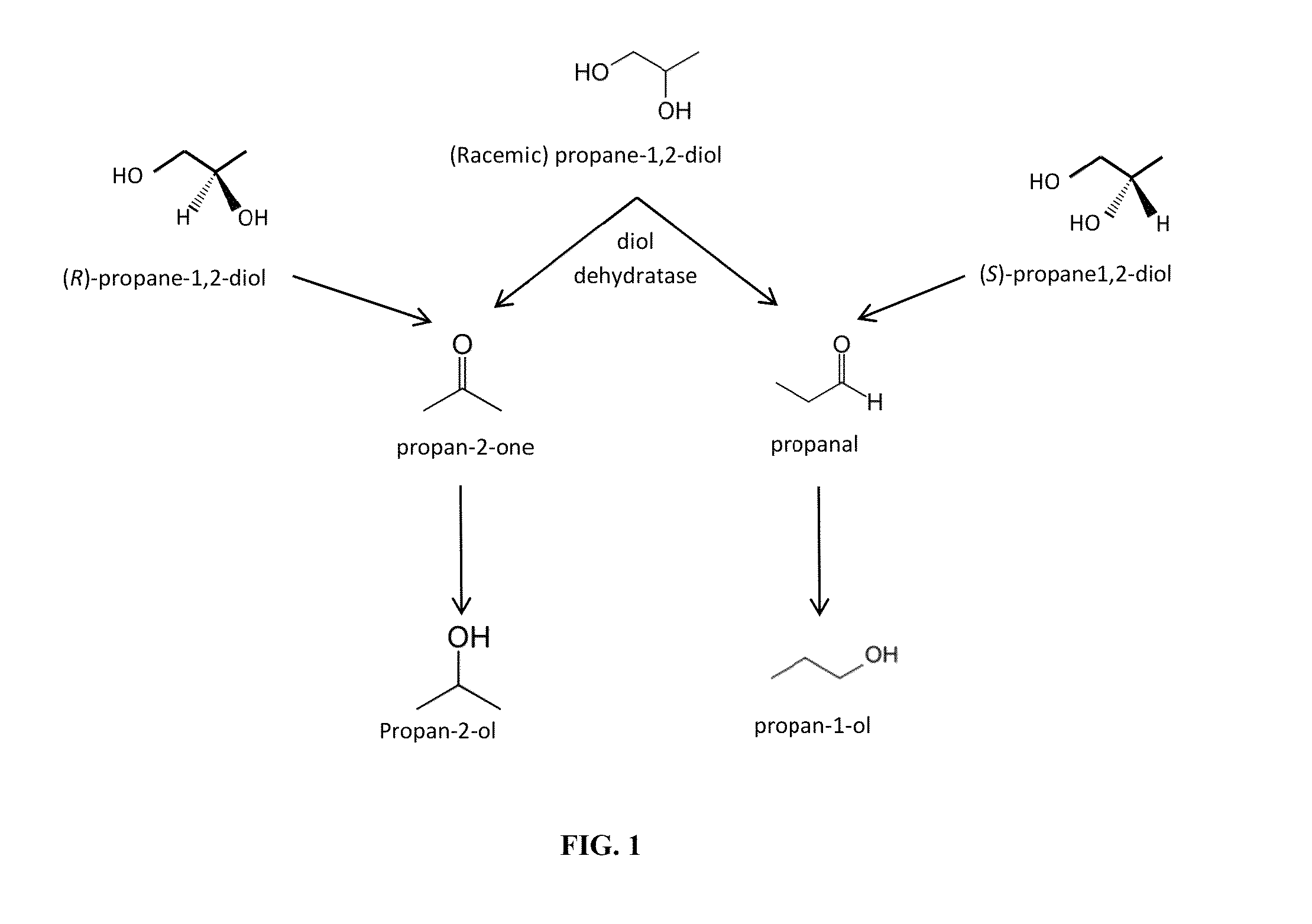 Recombinant microorganisms comprising stereospecific diol dehydratase enzyme and methods related thereto