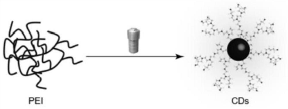 A kind of carbon quantum dot fluorescent probe, test paper and its application in the detection of morin