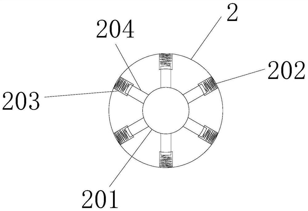 A household depilation device for killing chickens