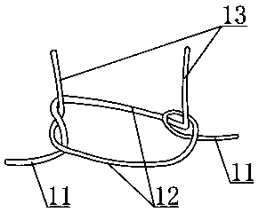 A kind of cultivation method of arch pull type tree bridge