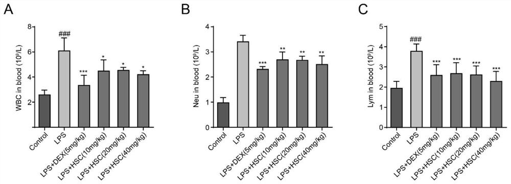 Application of Hedraaponin C in preparation of medicine for treating and preventing acute kidney injury