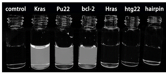 A kind of fluorescent probe and its preparation method and application