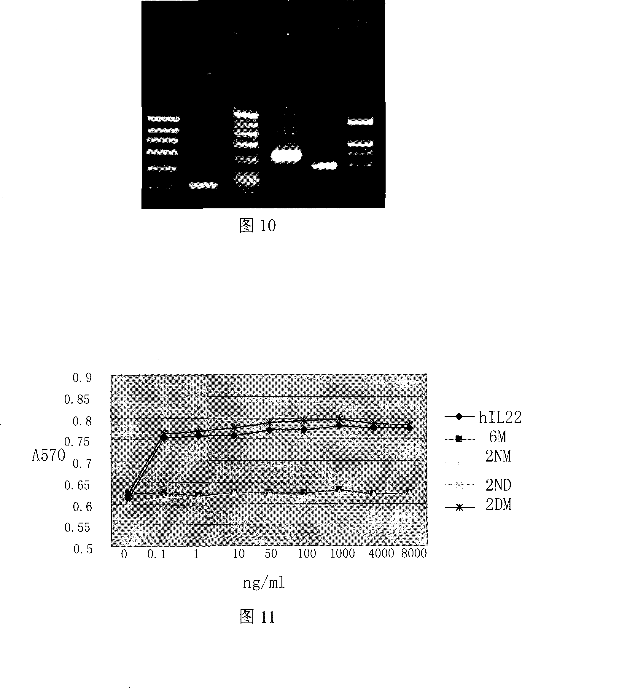 Human interleukins-22 mutant as well as construction method and use thereof