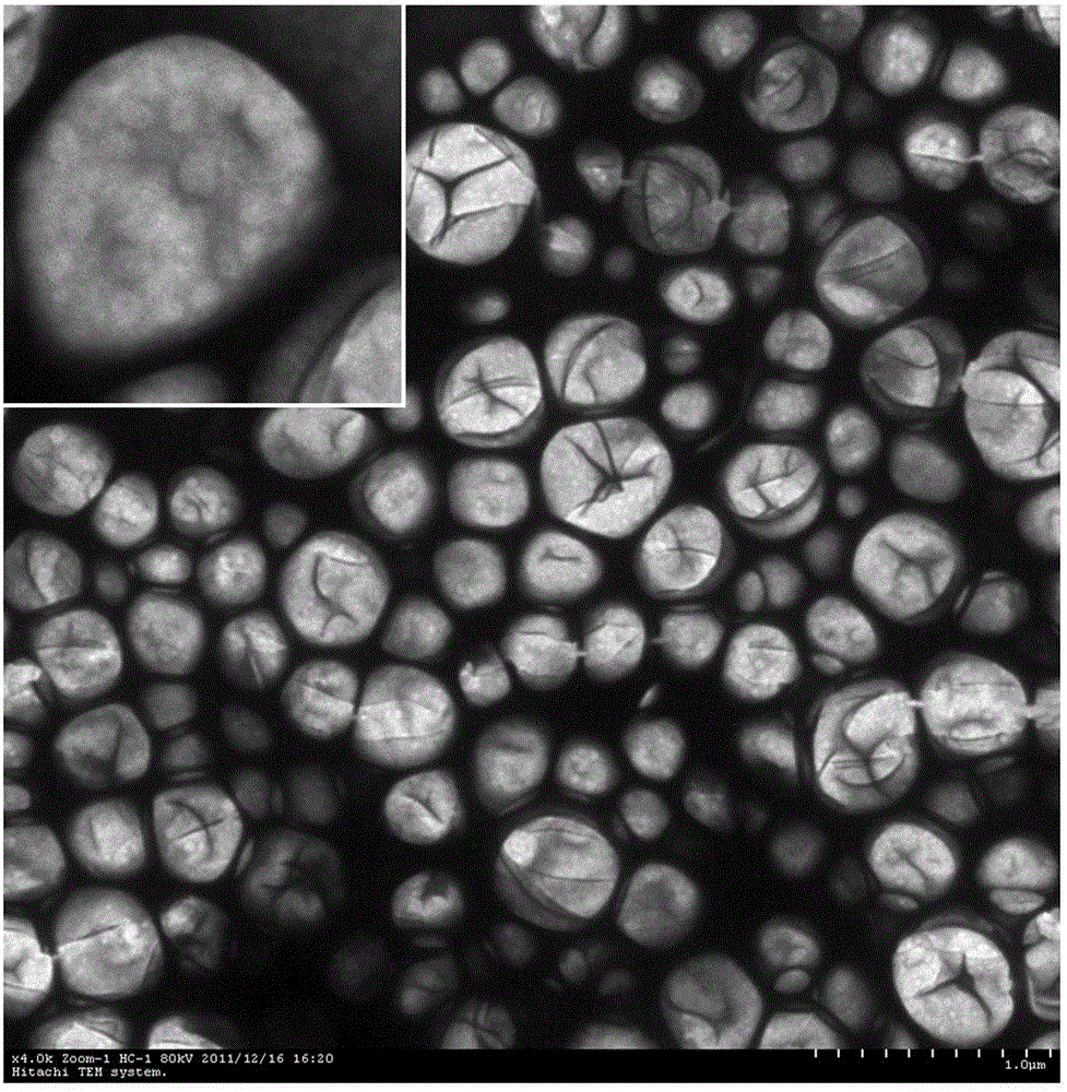 Load small interfering RNA nanoscale lipid microbubble ultrasonic contrast agent and preparation method