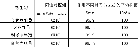 Composite ceramic water purifying agent