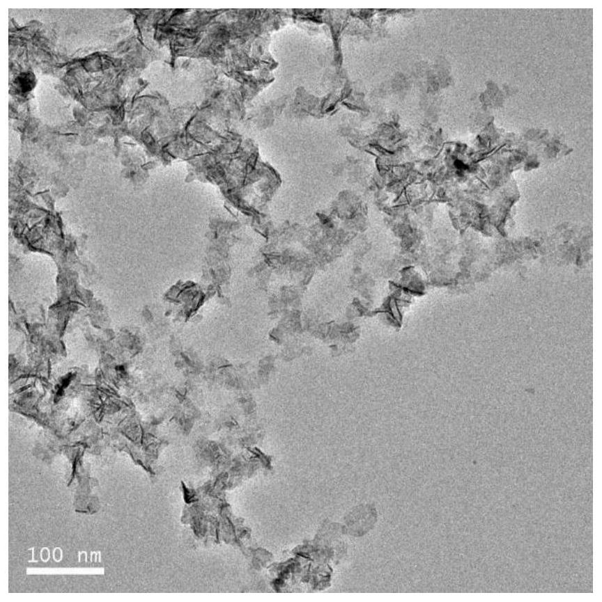 Two-dimensional ZnIn2S4 loaded convex noble metal single atom photocatalyst and application thereof