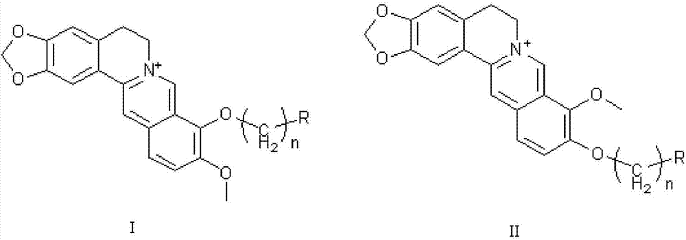 Application of berberine and derivative of berberine as hexosaminidase inhibitor