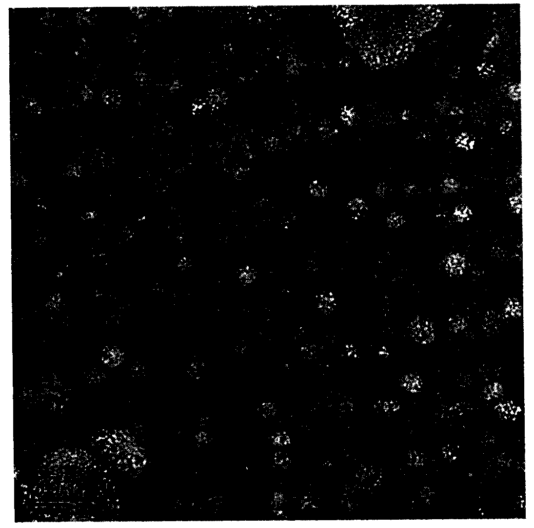 Propofol microemulsion composition