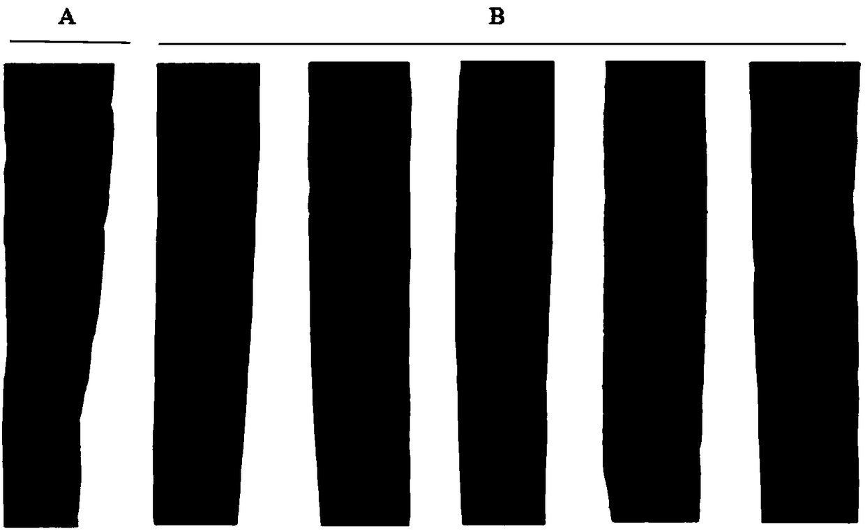 Application of puccinia striiformis (PSTG_17694) gene in prevention and treatment of puccinia striiformis and cultivation method of anti-puccinia-striiformis wheat