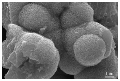 Application of barium-doped molybdenum sulfide material in self-energized piezoelectric enhanced hydrogen production