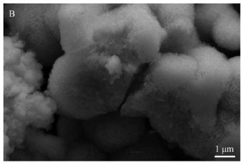 Application of barium-doped molybdenum sulfide material in self-energized piezoelectric enhanced hydrogen production