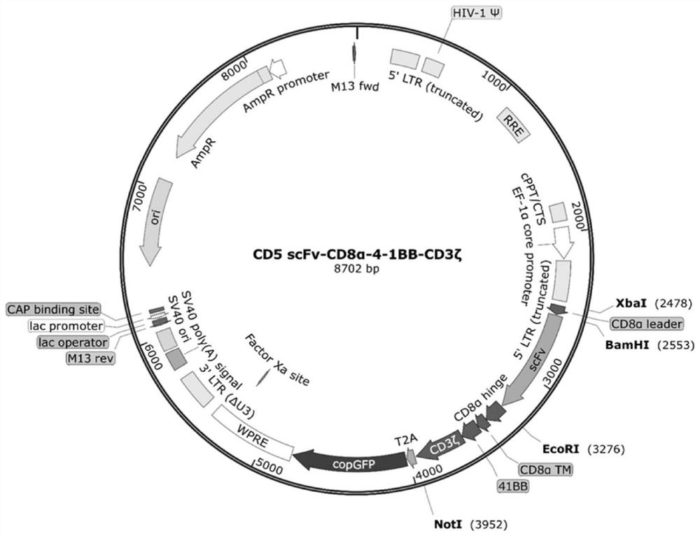 Chimeric antigen receptor targeting CD5 and its application