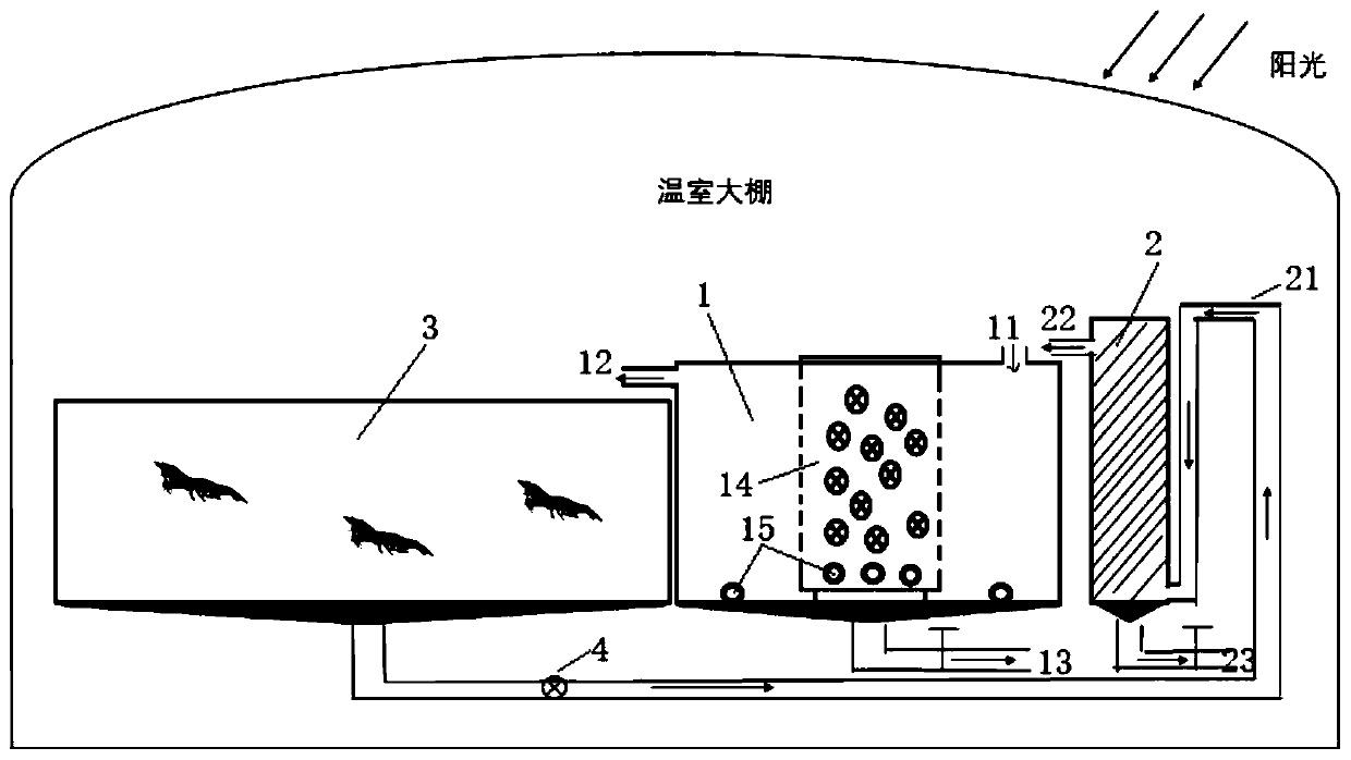 Nitrifying bacteria and photosynthetic bacteria symbiotic prawn culture tail water treatment system