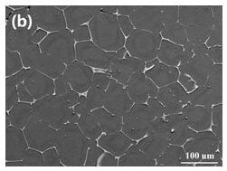 Low-rare-earth high-strength wrought magnesium alloy containing neodymium and yttrium and preparation method of low-rare-earth high-strength wrought magnesium alloy