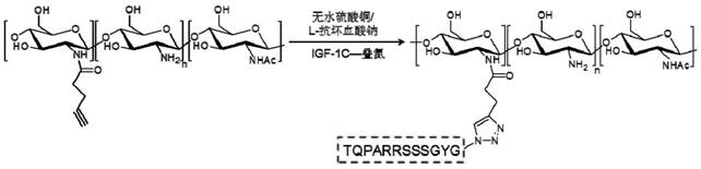 Injectable hydrogels incorporating igf-1c polypeptides