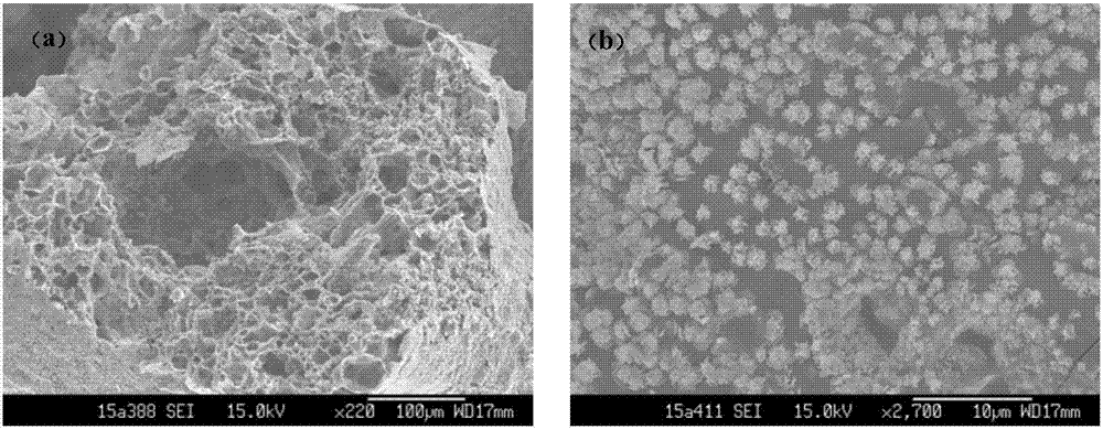 Preparation and application of floatable magnetic hollow material for removing heavy metal in water and soil