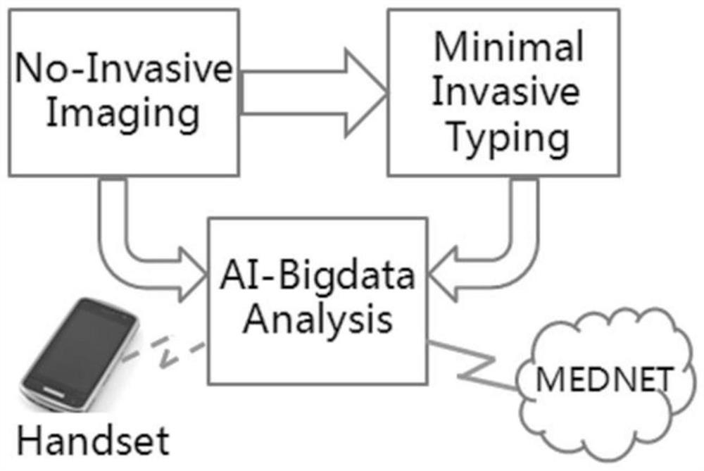 Non-invasive imaging screening and minimally invasive sampling nucleic acid typing combined detection system