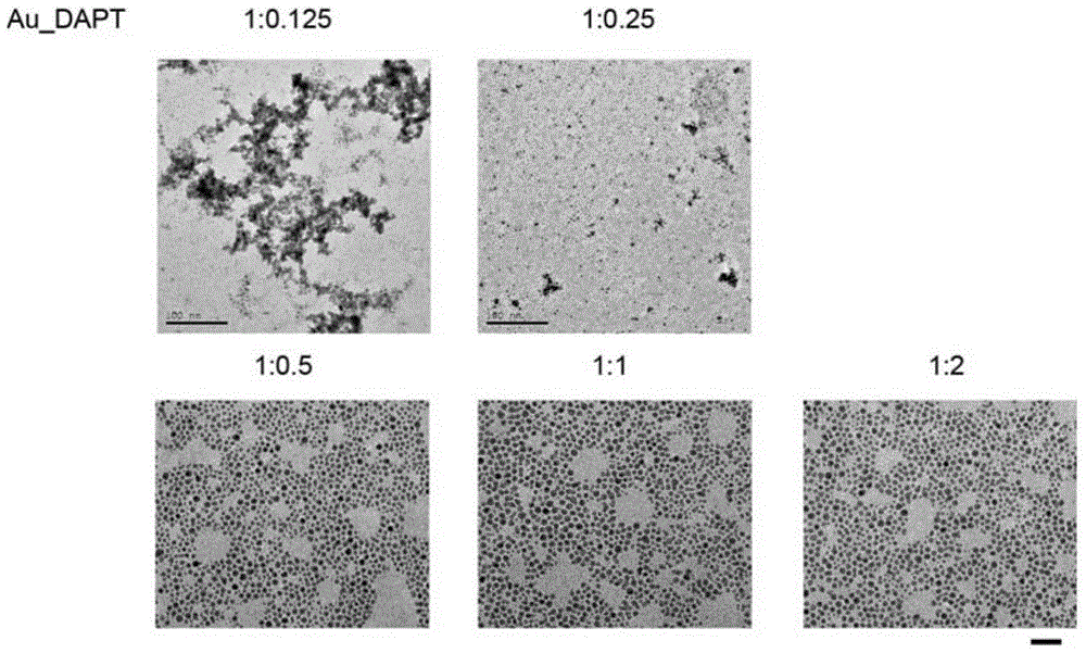 Application of a kind of gold nanoparticle in the preparation of anticoagulant or antiplatelet agent