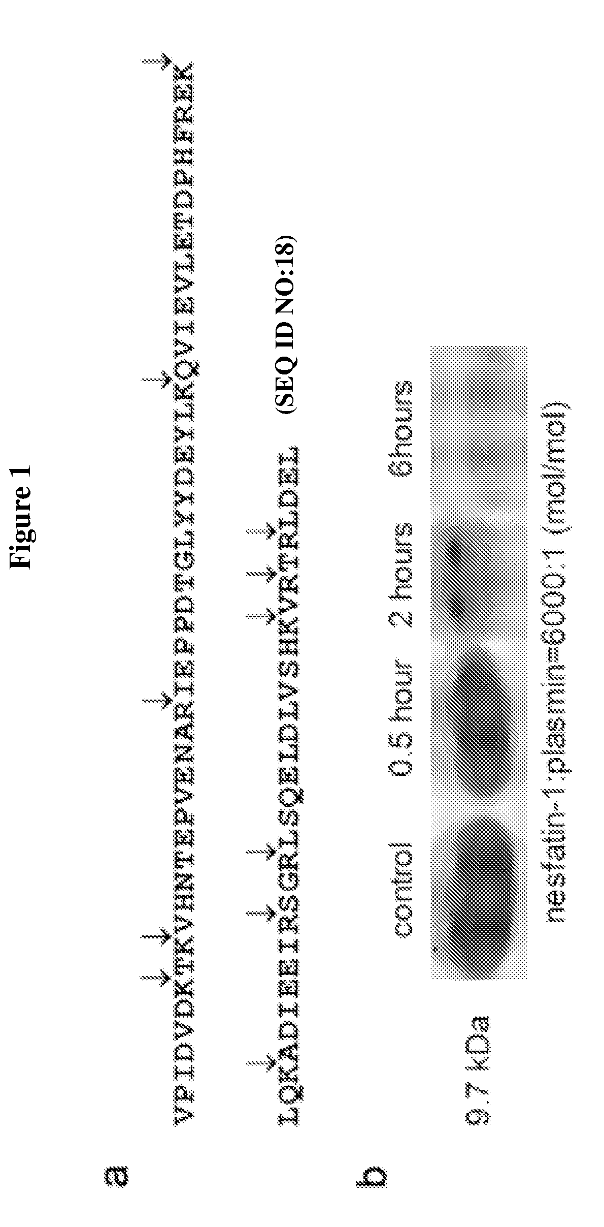 Plasma anti-diabetic NUCB2 peptide (pladin) and uses thereof