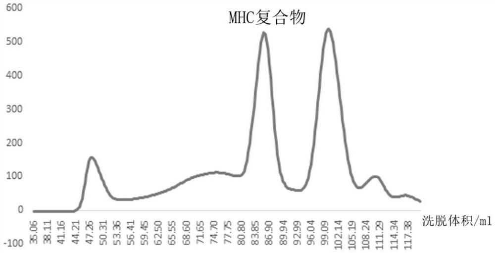 Influenza A virus PB1 protein T cell epitope polypeptide fragment and application thereof