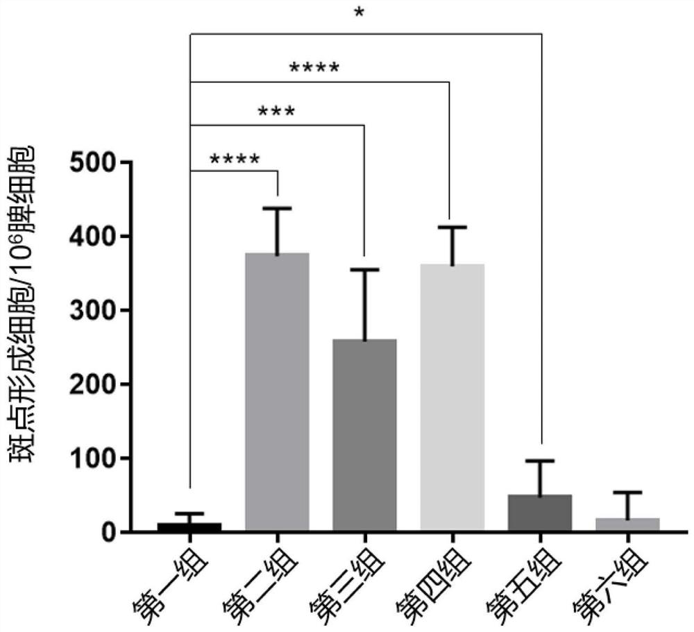 Influenza A virus PB1 protein T cell epitope polypeptide fragment and application thereof